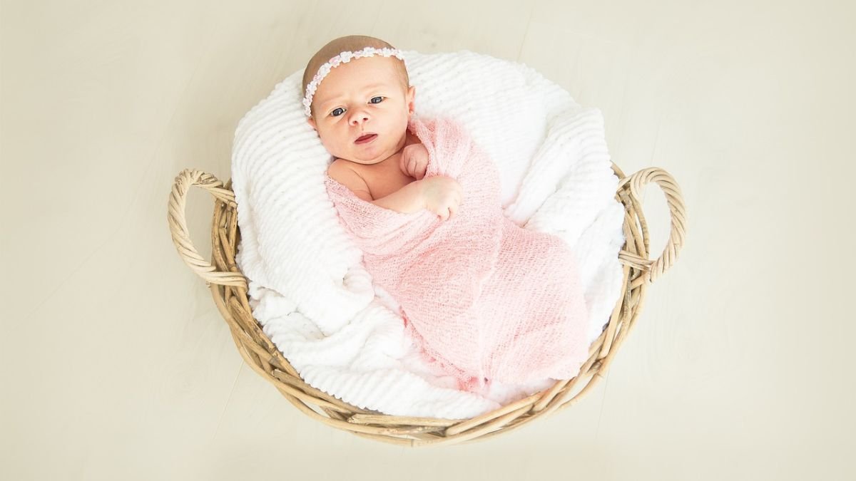 bebe