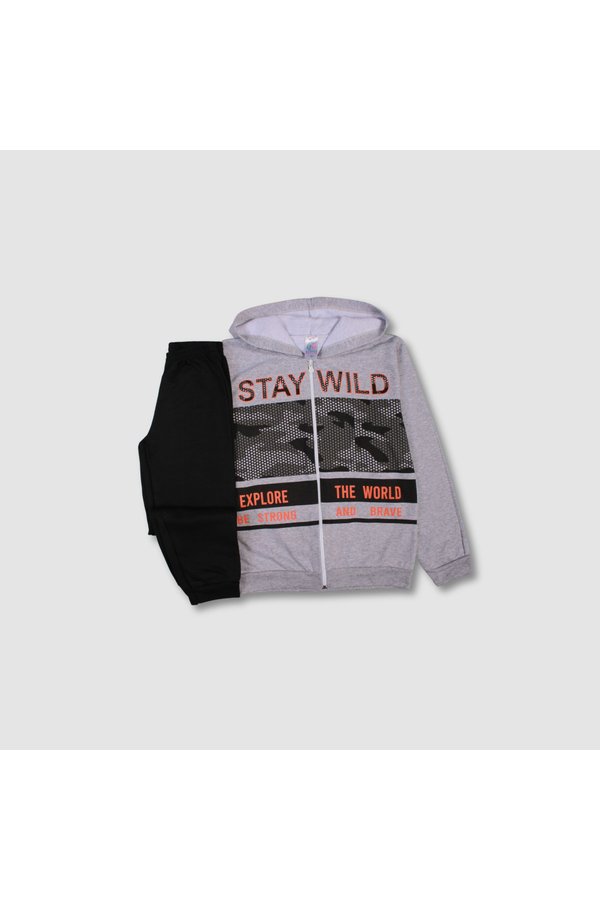 conceito stay wild