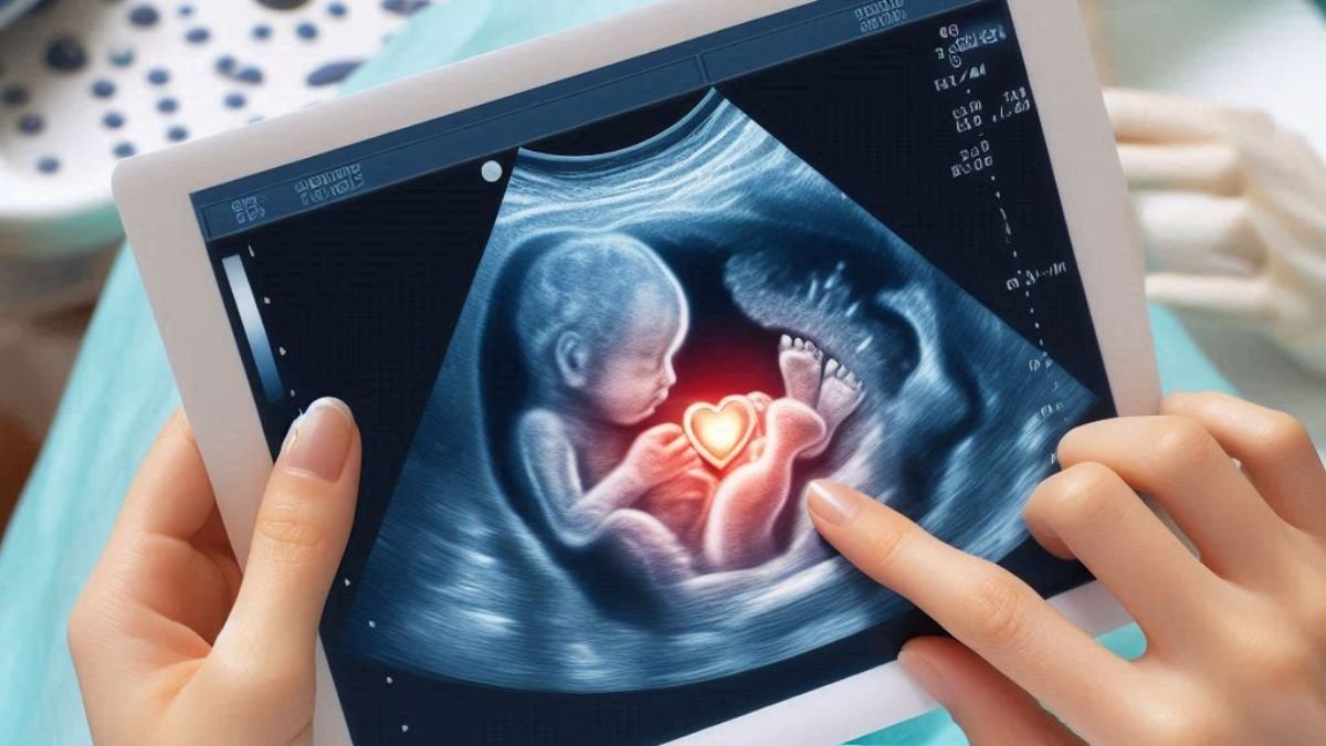 ouvir o coracao do bebe